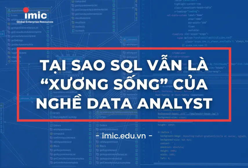 Tại sao SQL vẫn là xương sống của nghề Data Analyst